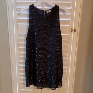 Beautiful Sequined Dress